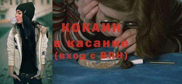 apvp Инсар