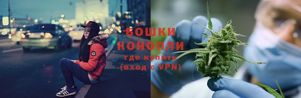 apvp Инсар