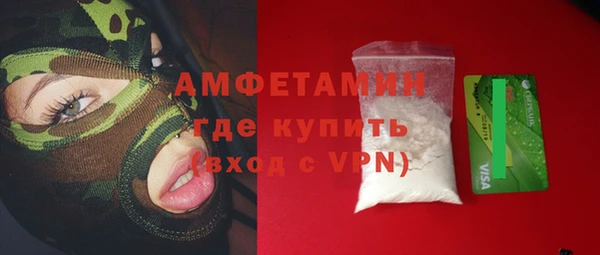 apvp Инсар