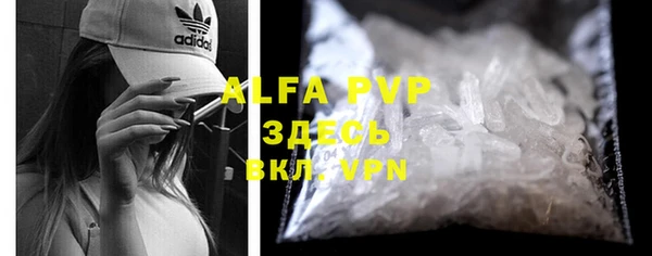 apvp Инсар