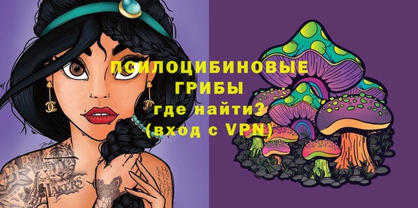 apvp Инсар