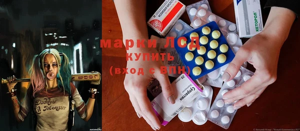 apvp Инсар