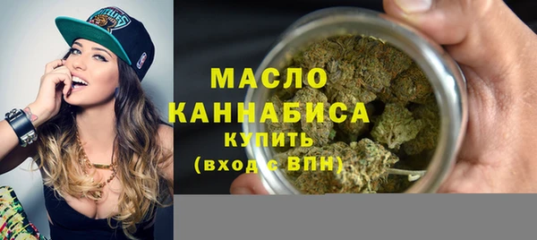 apvp Инсар